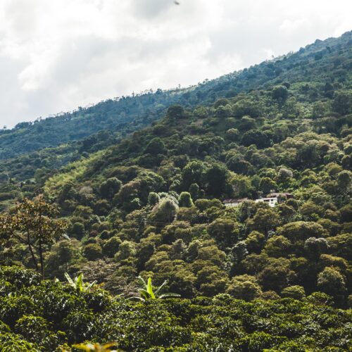 Villa Flor - Colombia