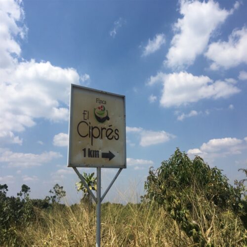 El Cipres estate in El Salvador