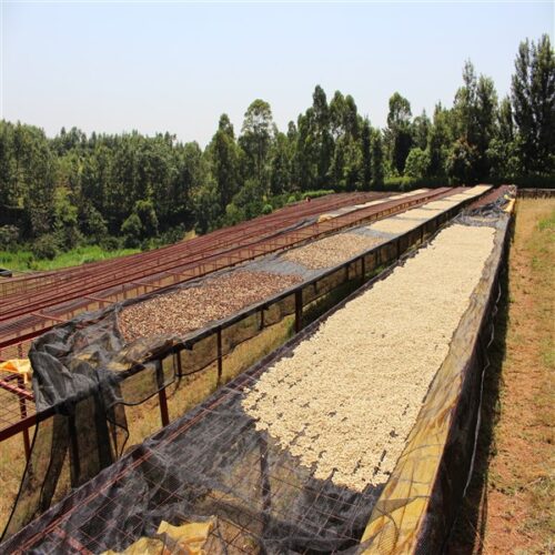 Kii AB drying tables
