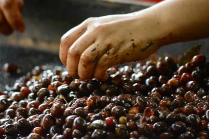 Processing of coffee cherries